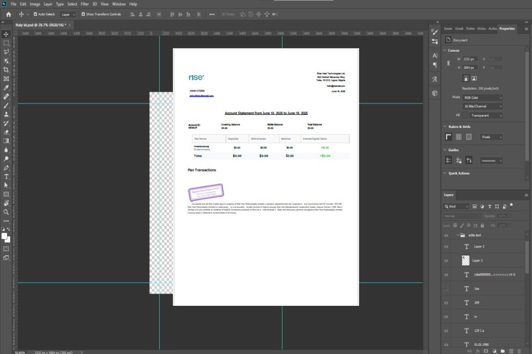 Modèle Word et PDF de relevé de compte Nigeria Rise Vest template Modèle Word et PDF de relevé de compte Nigeria Rise Vest template